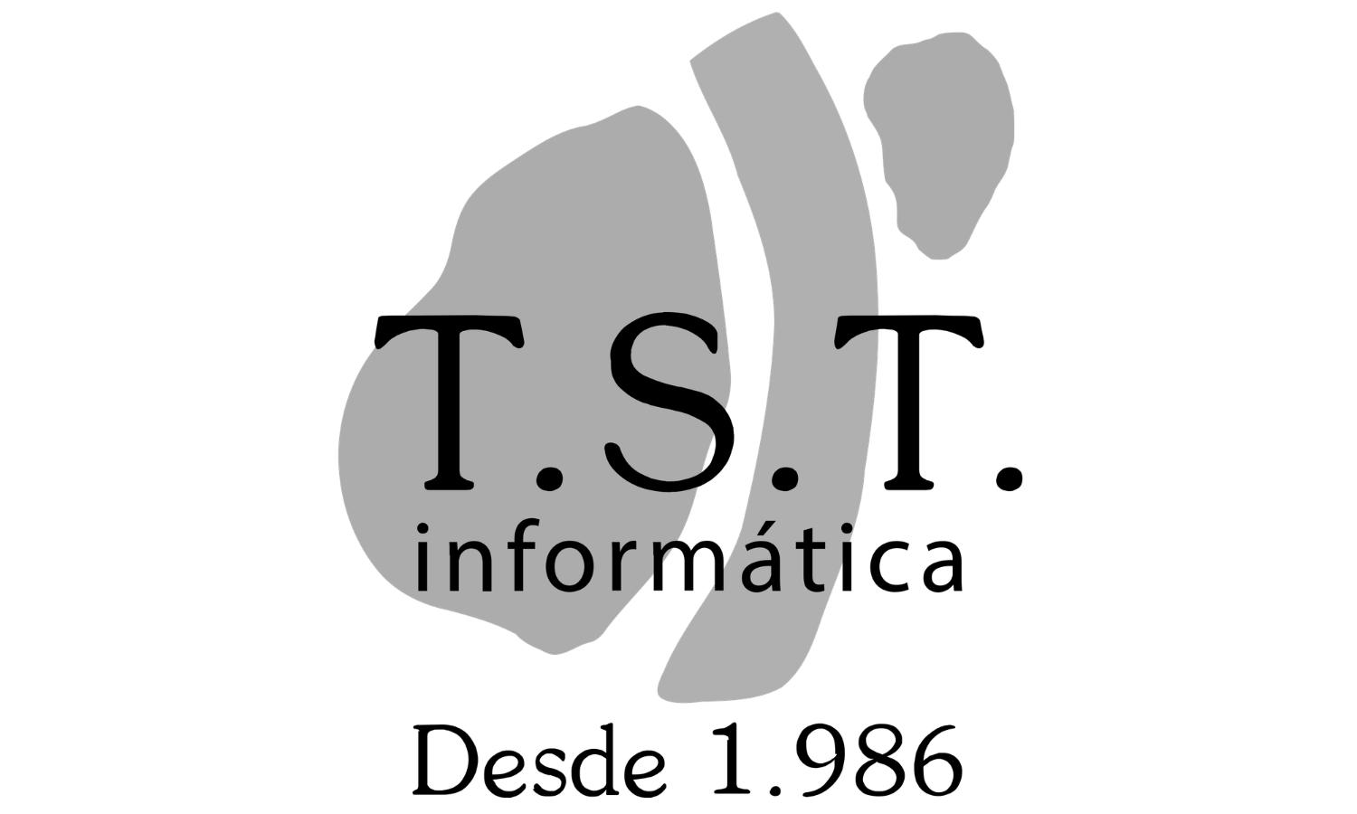 T.S.T. Informática