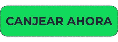 AiConsultas_Renta2025